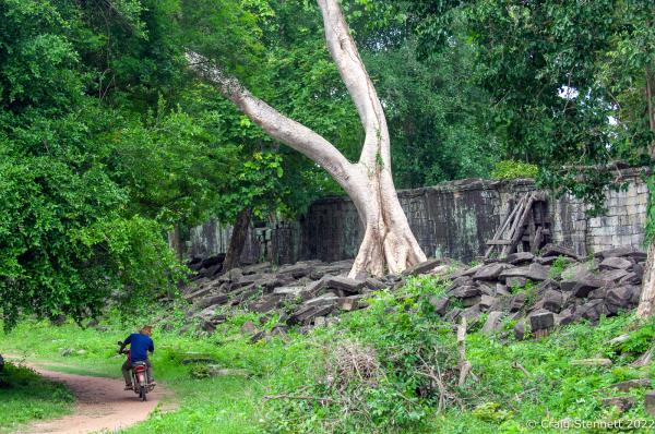 The Lost Temple, Banteay Chhmar. - BANTEAY CHHMAR. CAMBODIA-MAY 22: A local Cambodian drives...