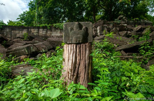 BANTEAY CHHMAR. CAMBODIA-MAY 26: A severed stone head stands on a tree stump at Banteay Chhmar Temple, Banteay Meanchey, Cambodia on May 22, 2012. Banteay Chhmar, meaning 'The Citadel of the Cats' was built by Khmer King Jayavarman 7th (1181-1219) in the 12th Century. According to the UNESCO world heritage centre the temple is a unique complex of the Angkorian period of structural style. However, the temple complex due to its geographical isolation with the effects of time and the elements is slowly crumbling and being reclaimed by the surrounding jungle. Teams of stone masons, archeologists with assistance from the Global Heritage Fund and Cambodian are mounting a rescue mission in order to stem the temple's continued collapse and halt the reclamation of the surrounding jungle.(Photo by Craig Stennett/Getty Images)