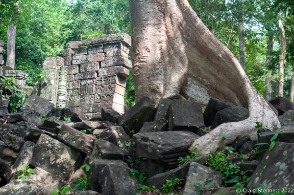 Image from The Lost Temple, Banteay Chhmar. - BANTEAY CHHMAR. CAMBODIA-MAY 22: A tree grows out of the...