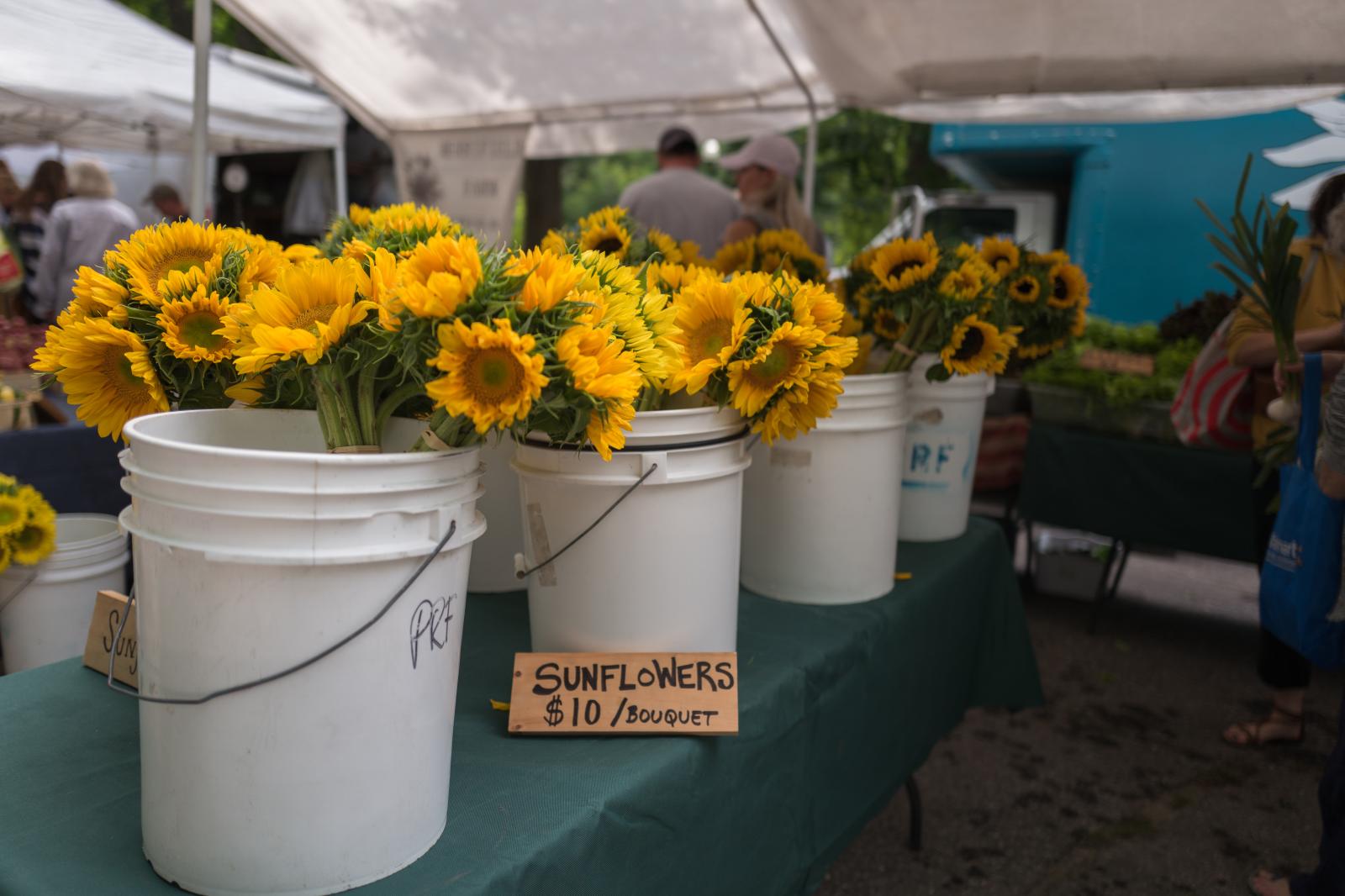 Farmers Market Sunflowers | Buy this image