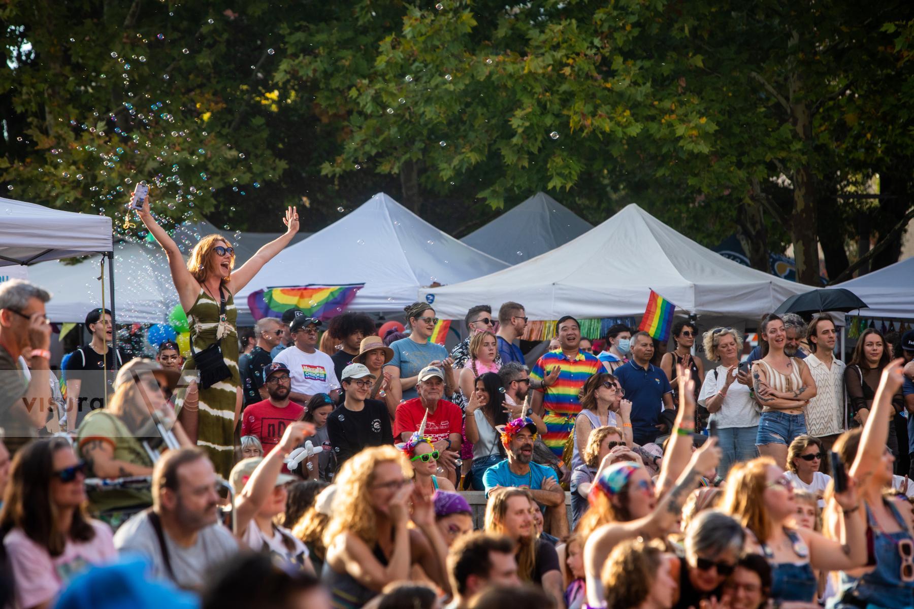 Purchase Celebrating Pride in North Carolina by Katie Linsky Shaw