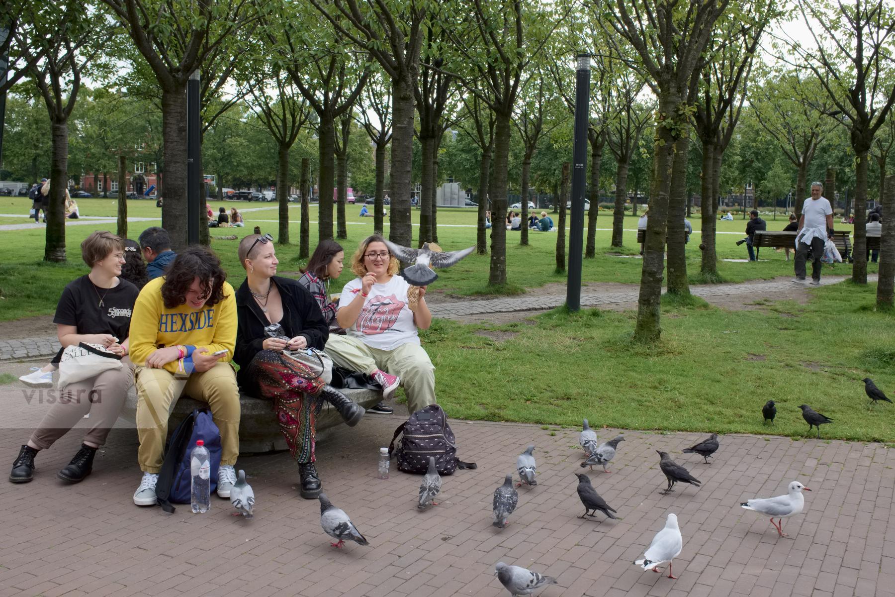 Purchase Feeding Birds by Ellen Kok