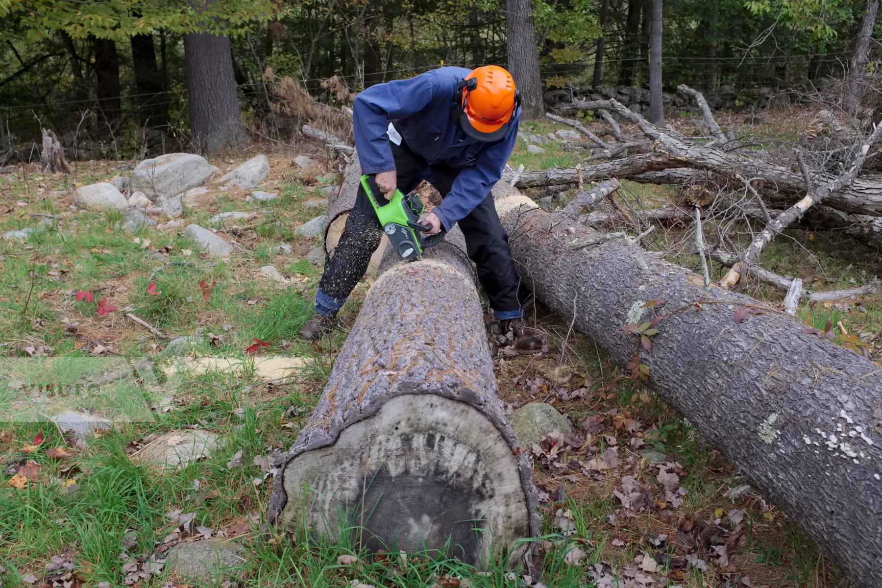 Purchase Logging by Ellen Kok