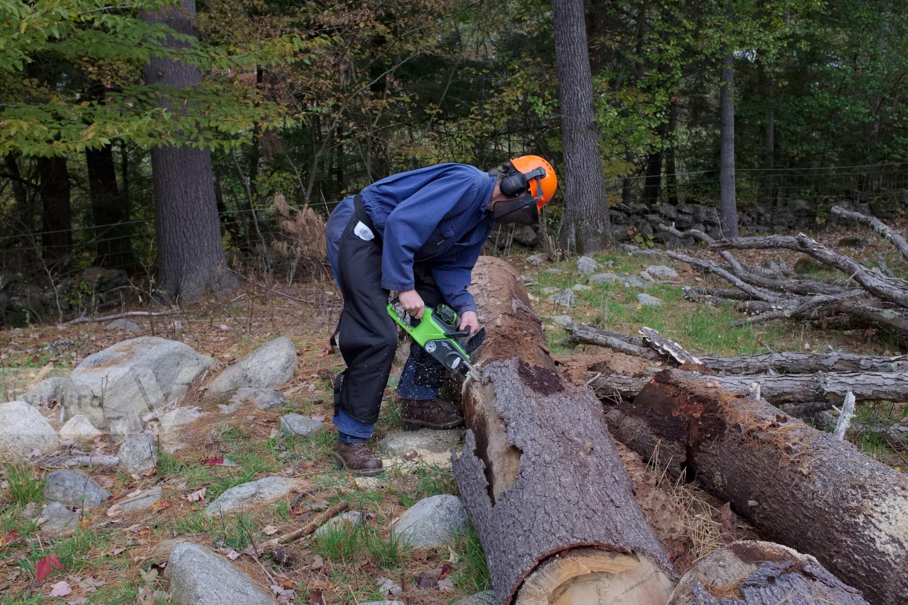 Purchase Logging by Ellen Kok