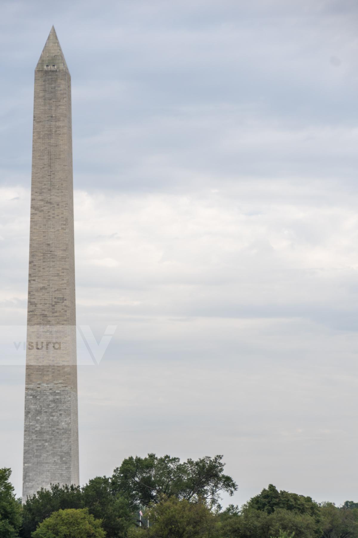 Purchase Washington Monument by James Reade Venable