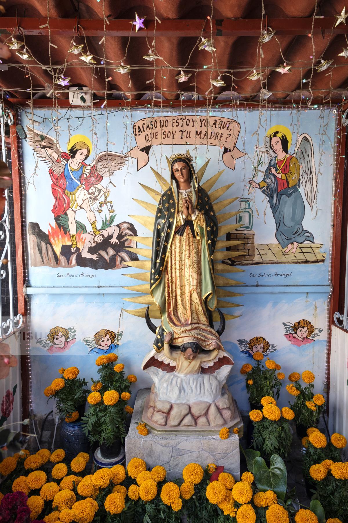 Purchase La Virgen de Guadalupe by Carla Cioffi