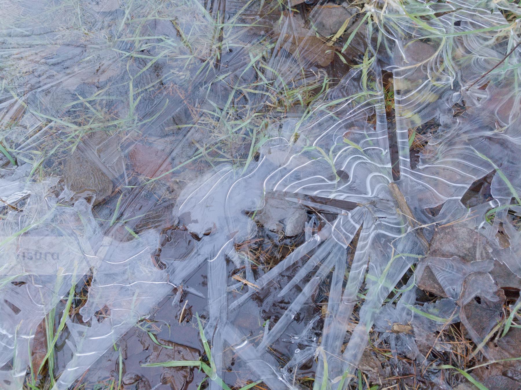 Purchase Ice Crystals by Ellen Kok