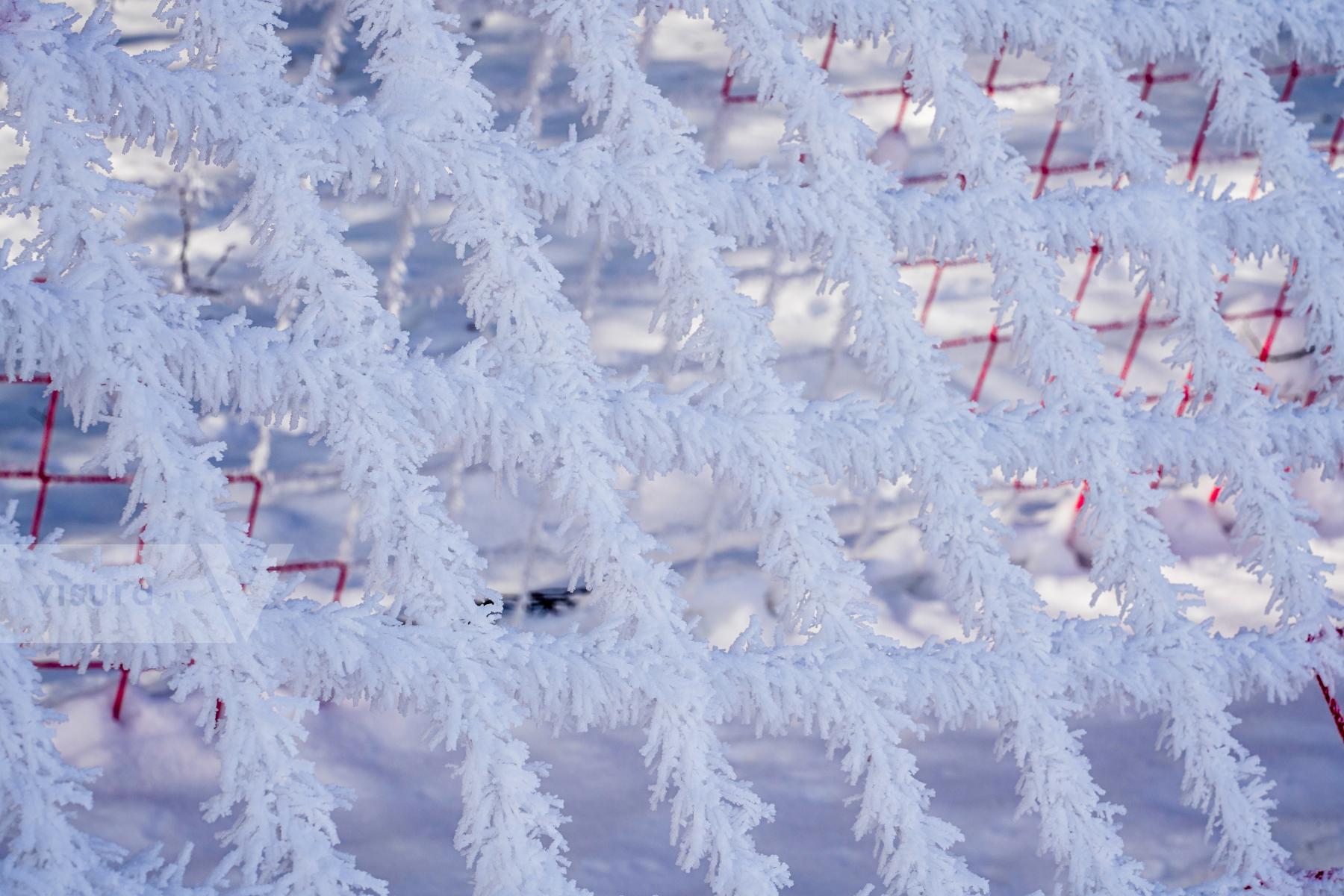 Purchase Frosted Filigree: Winter’s Touch on the Pitch by Michael Nguyen