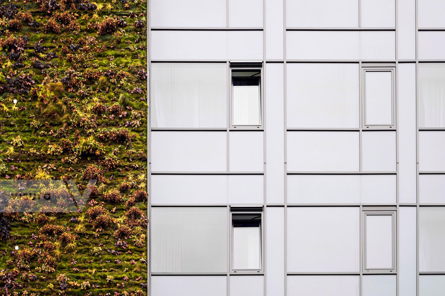 Purchase Living Wall: Green Facade by Michael Nguyen