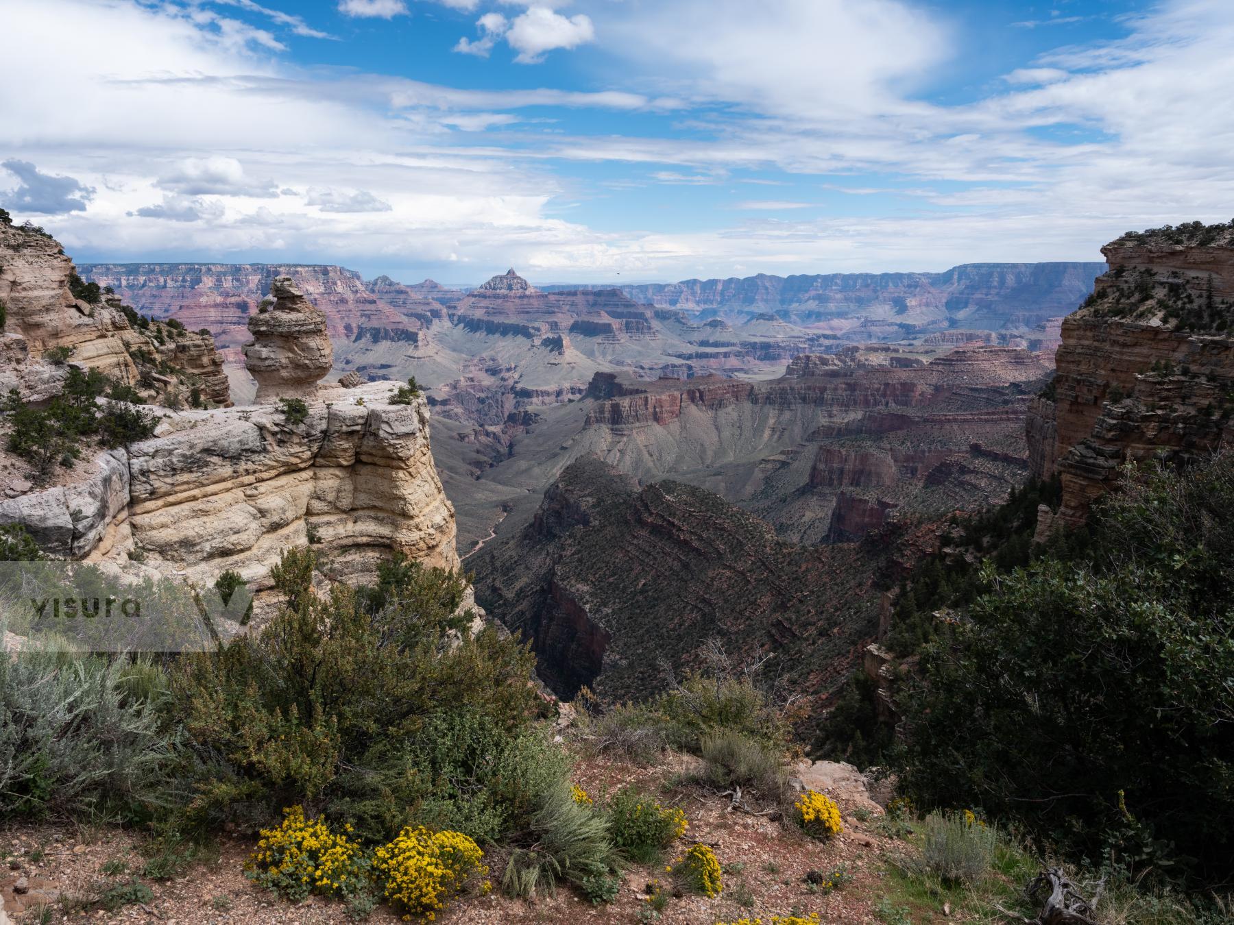 Purchase Wildflowers, South Rim Grand Canyon by Molly Peters