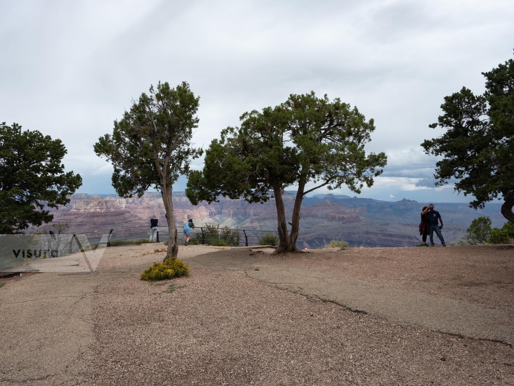 Purchase Tourists, Grand Canyon by Molly Peters