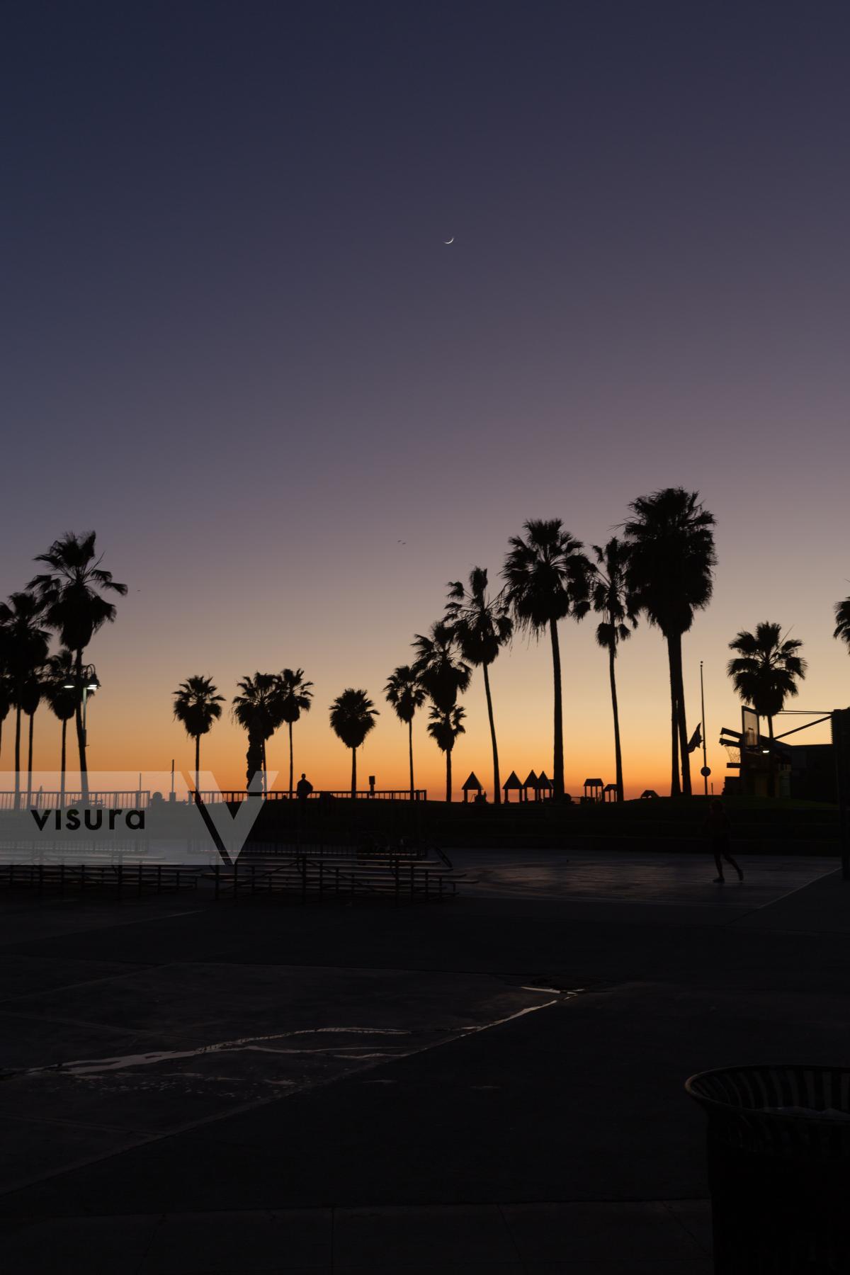 Purchase Crescent Moon, Venice Beach by Molly Peters
