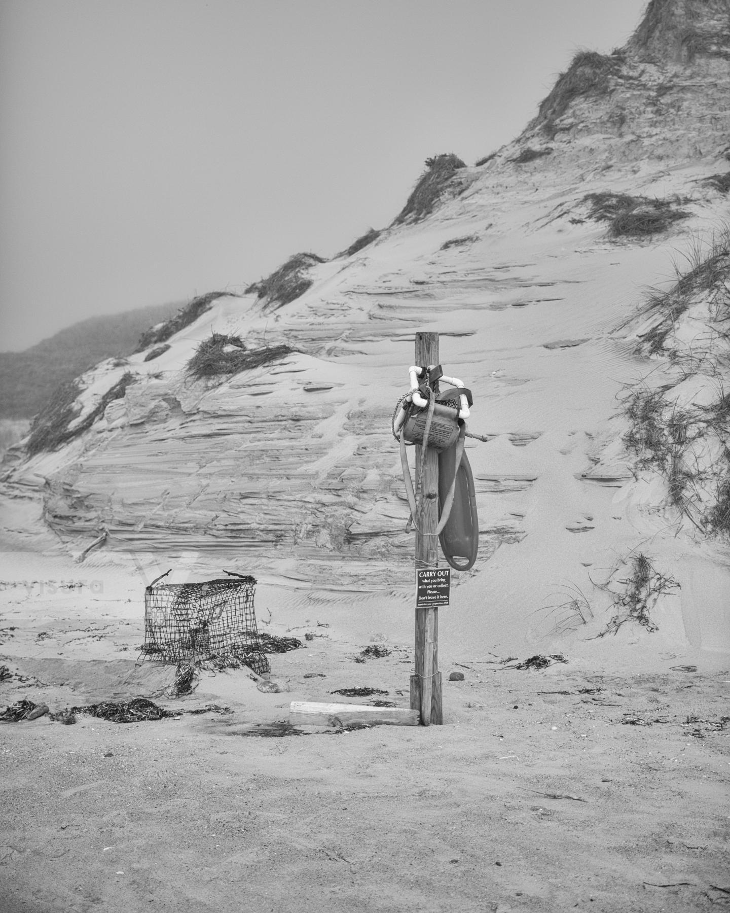 Purchase Chilmark Beach Walk by Molly Peters