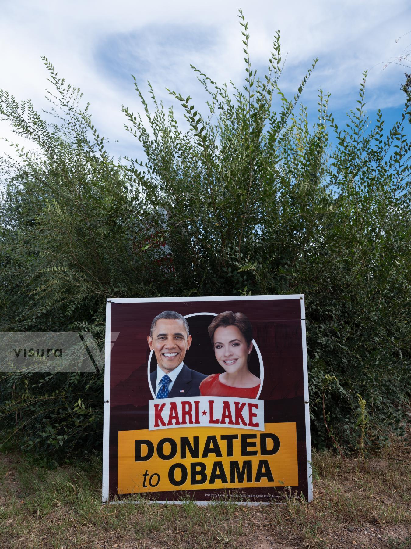 Purchase Kari Lake Donated to Obama by Molly Peters