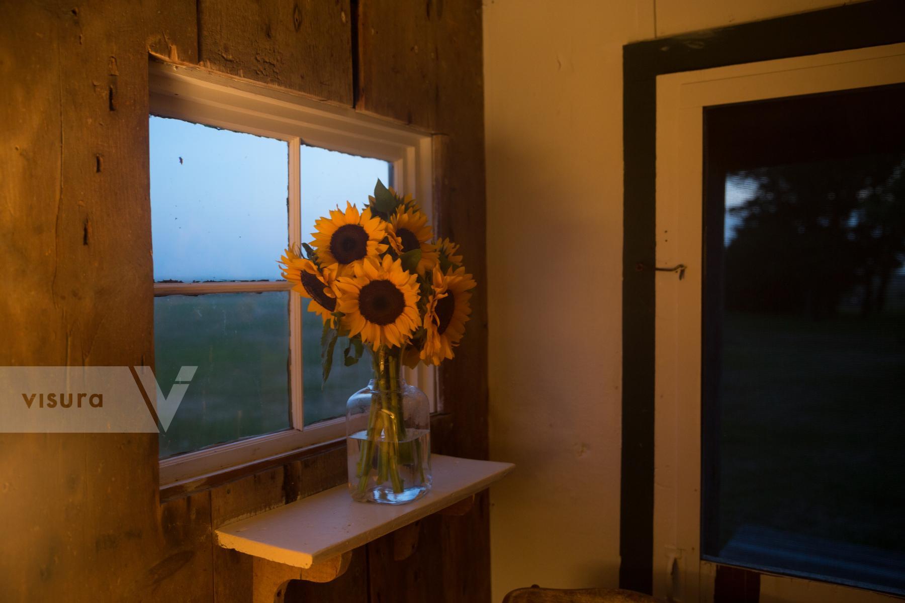 Purchase Sunflowers in the Window by Molly Peters