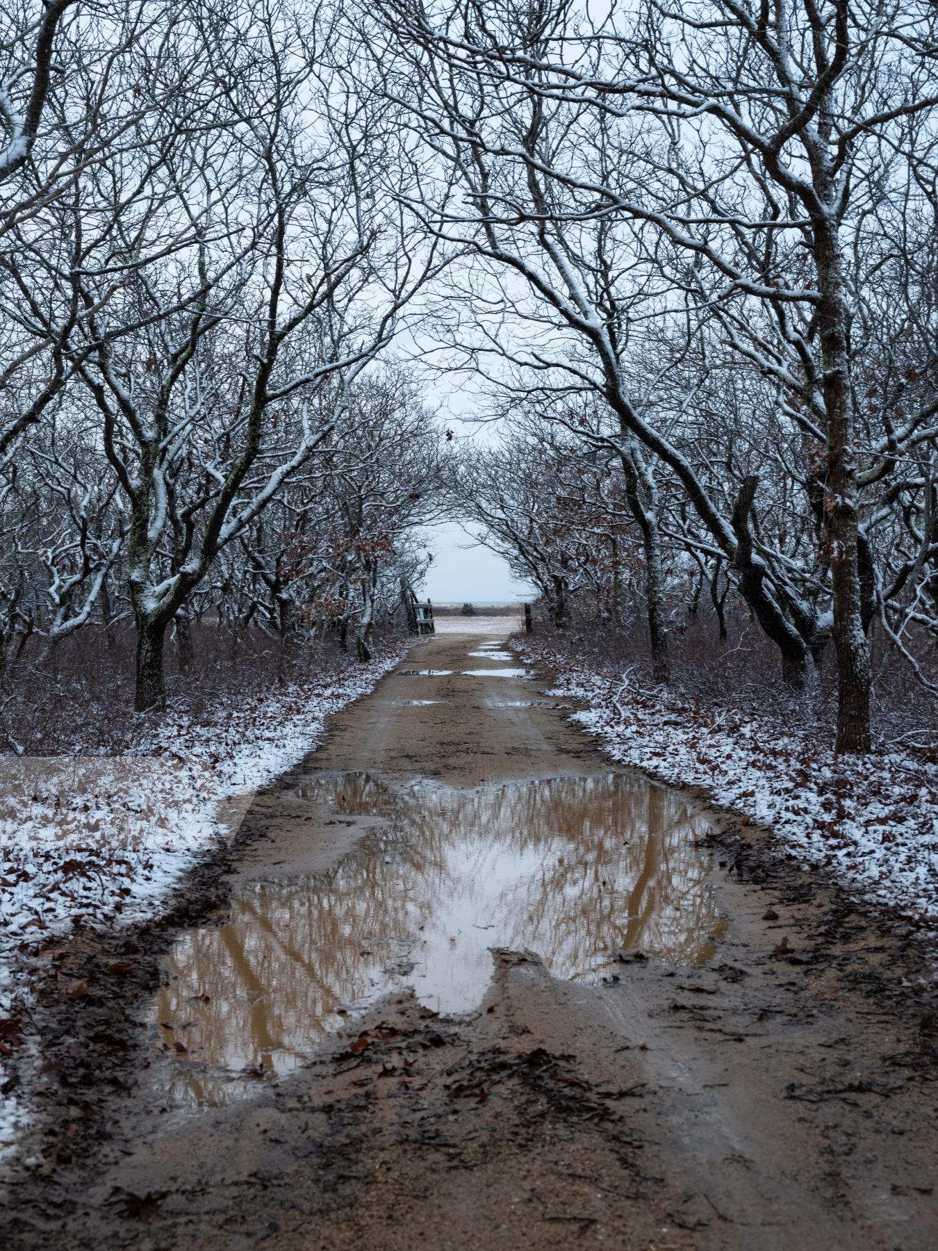 Purchase Road to Short Point by Molly Peters