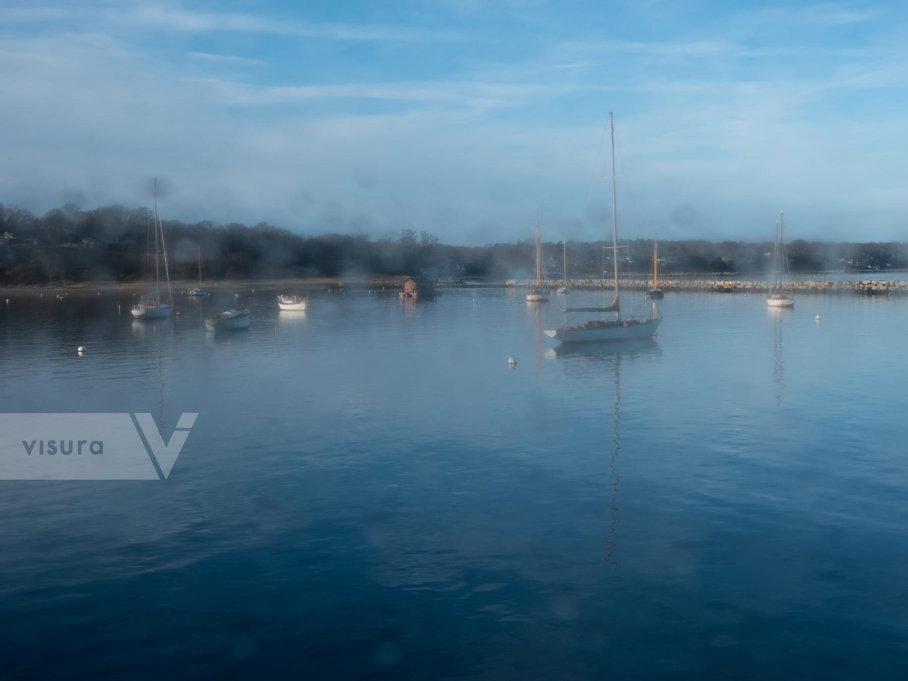 Purchase Vineyard Haven Harbor by Molly Peters
