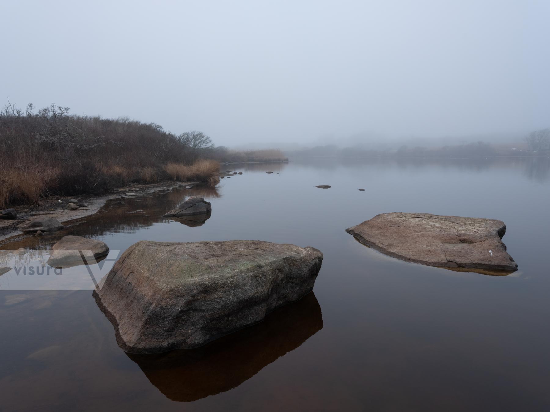 Purchase Foggy Pond by Molly Peters