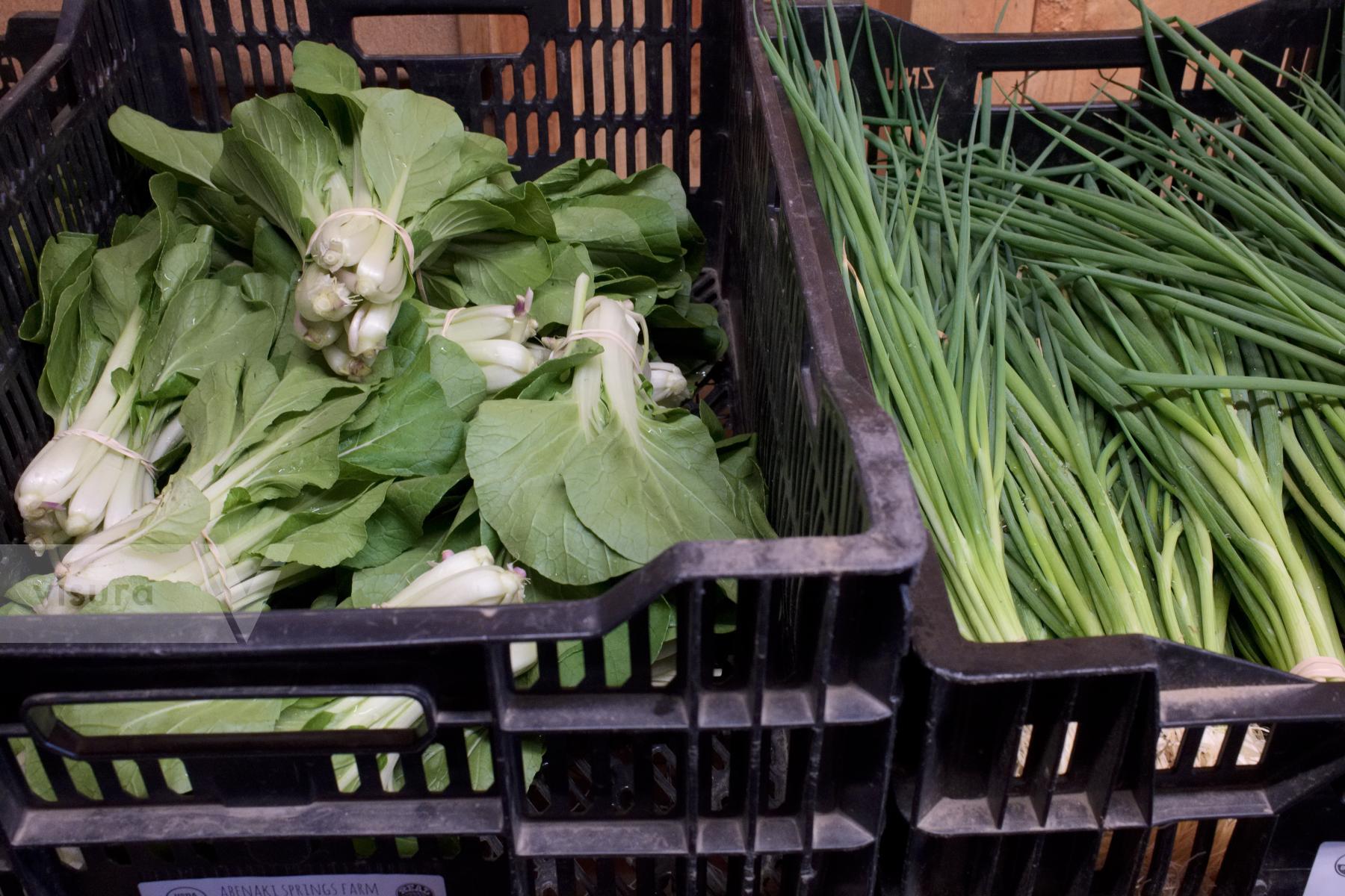 Purchase Vegetables by Ellen Kok