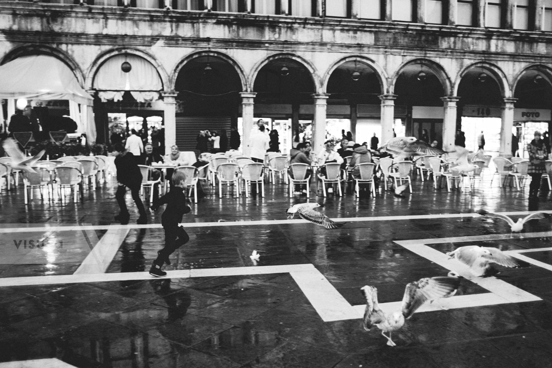 Purchase Autumn afternoon in St Mark square by Laura Larmo