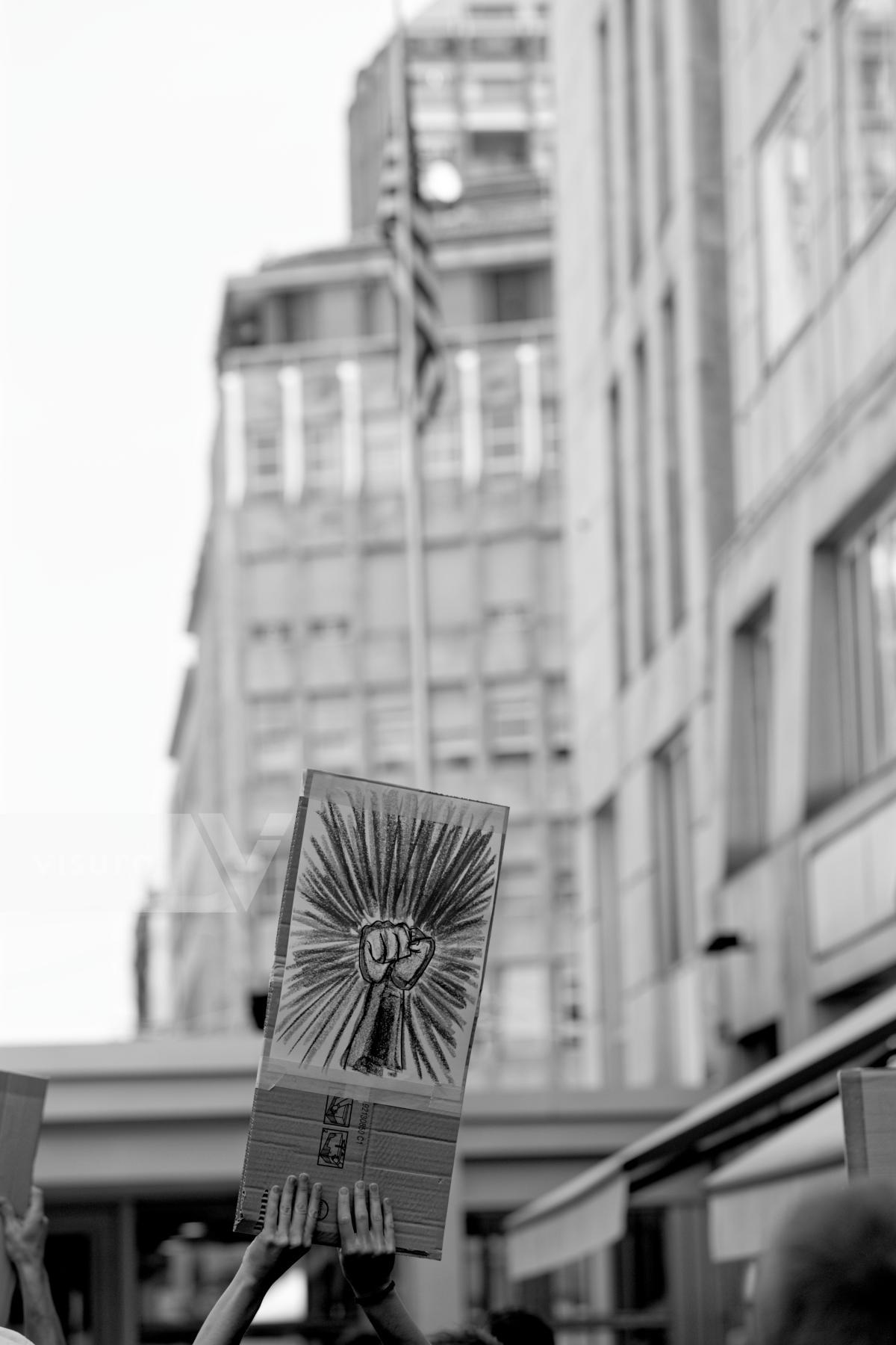 Purchase Demonstrator holding a sign under US flag by Laura Larmo