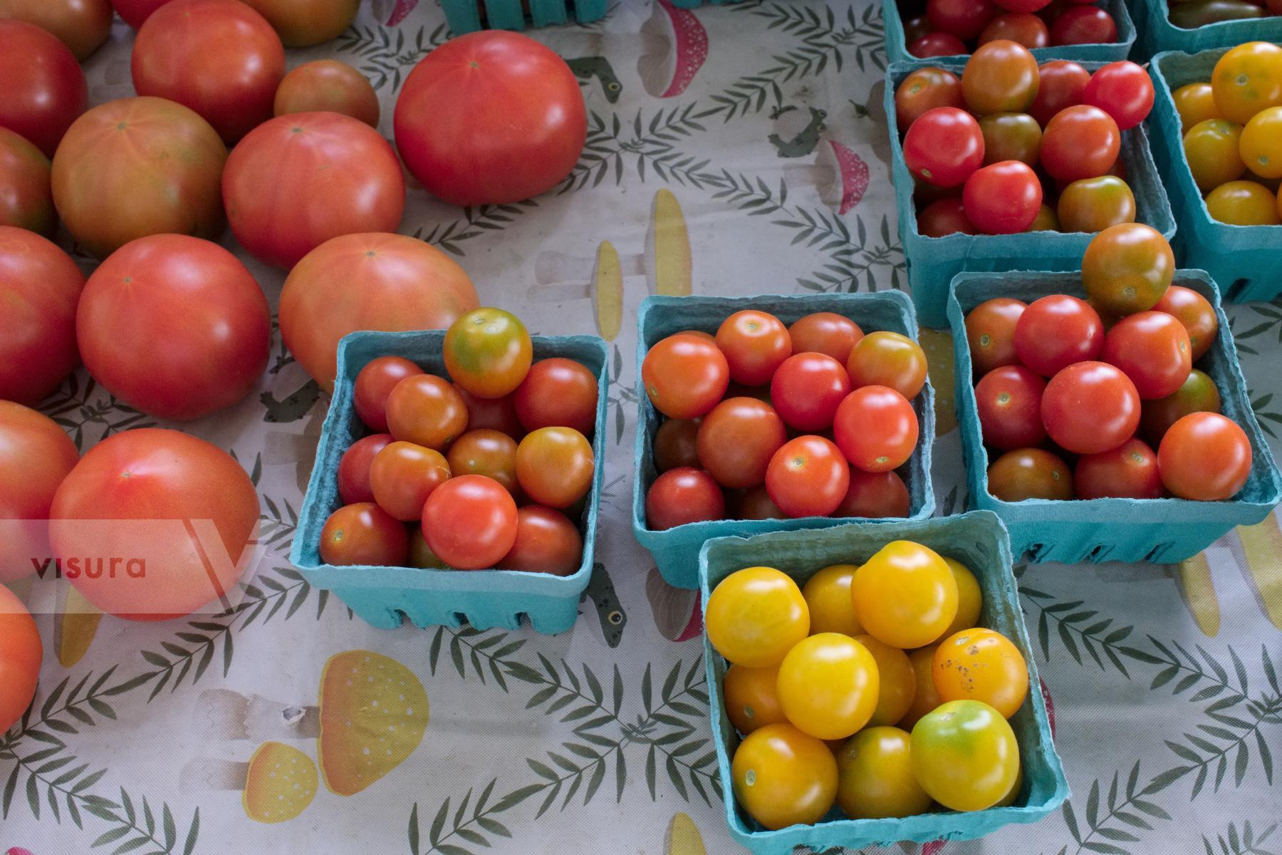 Purchase Tomatoes by Ellen Kok