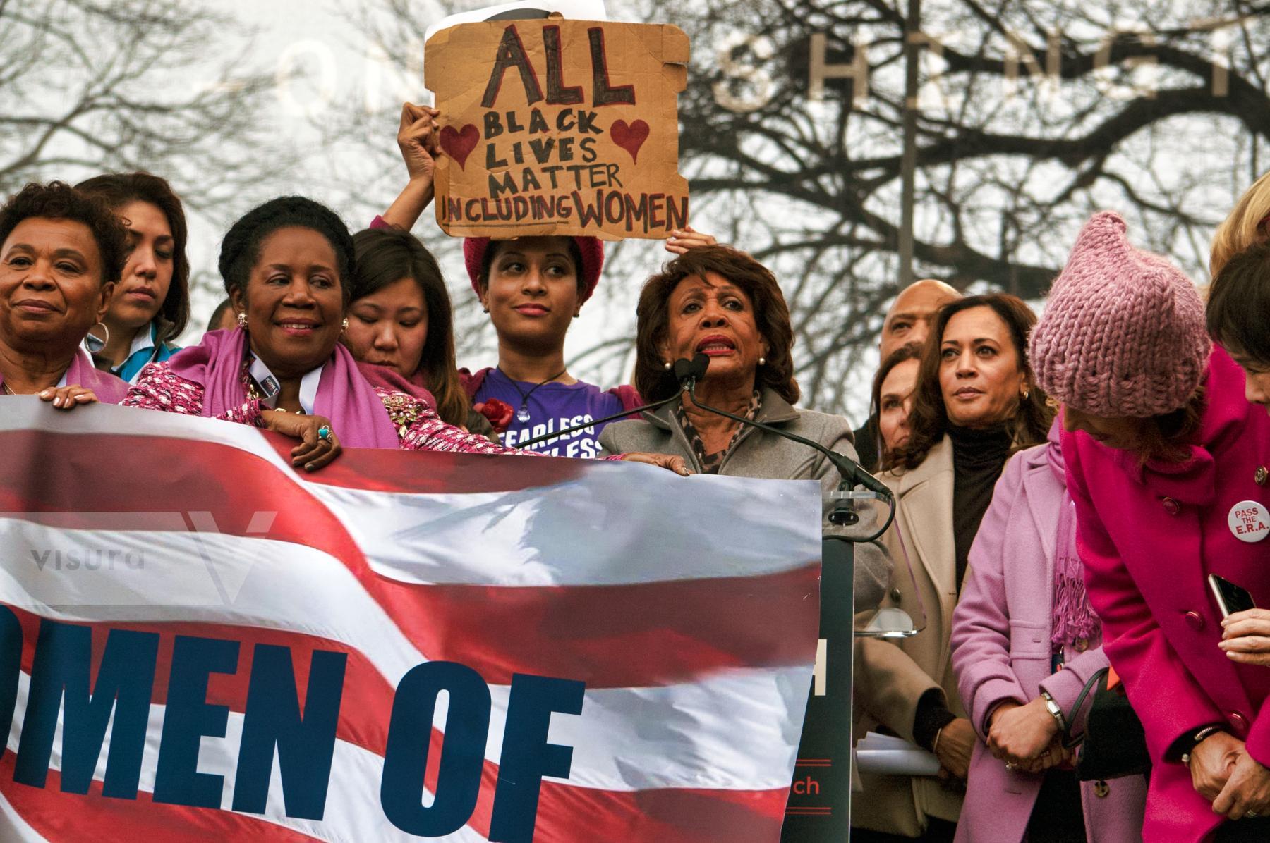 Purchase A Salute to Rep Sheila Jackson Lee by Tish Lampert