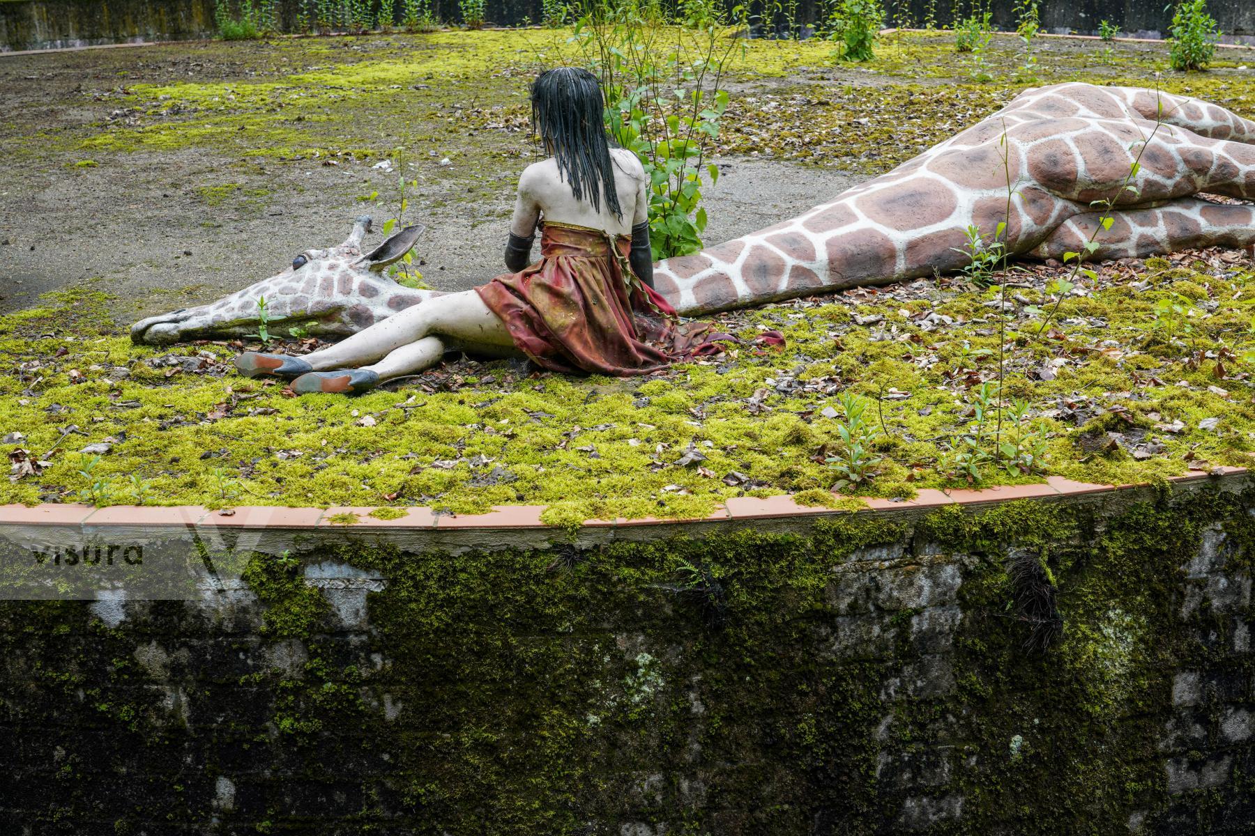 Purchase Memorial for Endangered Species: Young Woman caressing the Head of a dead Giraffe by Michael Nguyen