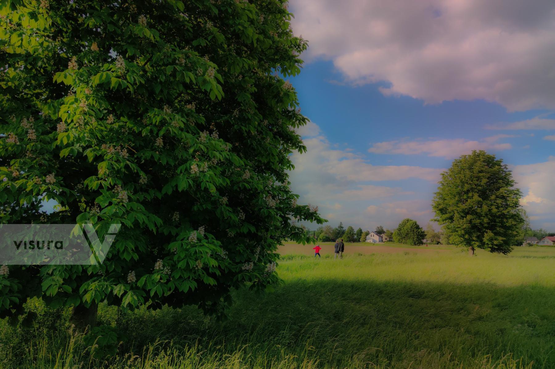 Purchase Family Walk in the romantic and enchanting Bavarian Würmtal Valley | Gauting by Michael Nguyen