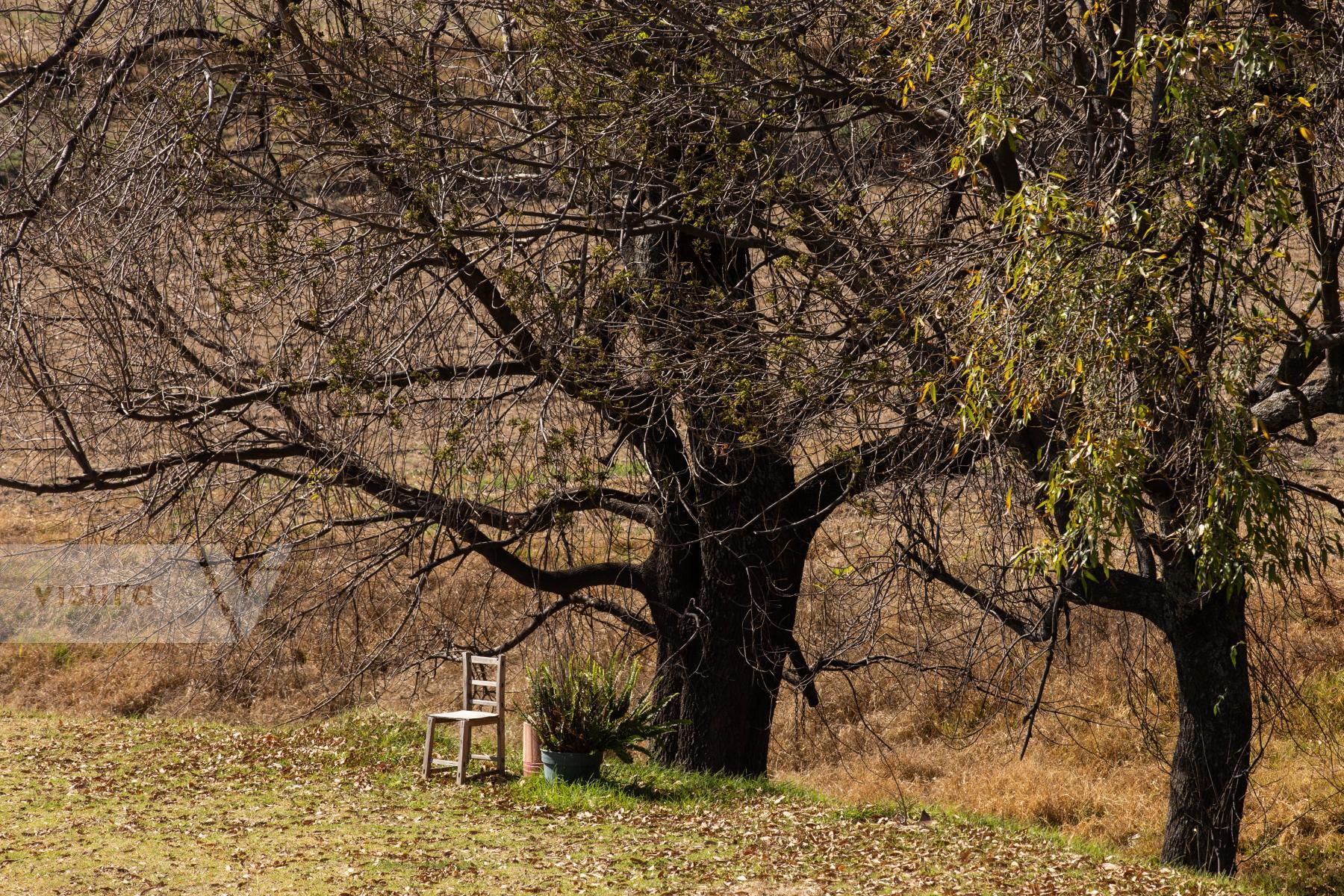 Purchase Lonely chair. by Octavio Hoyos