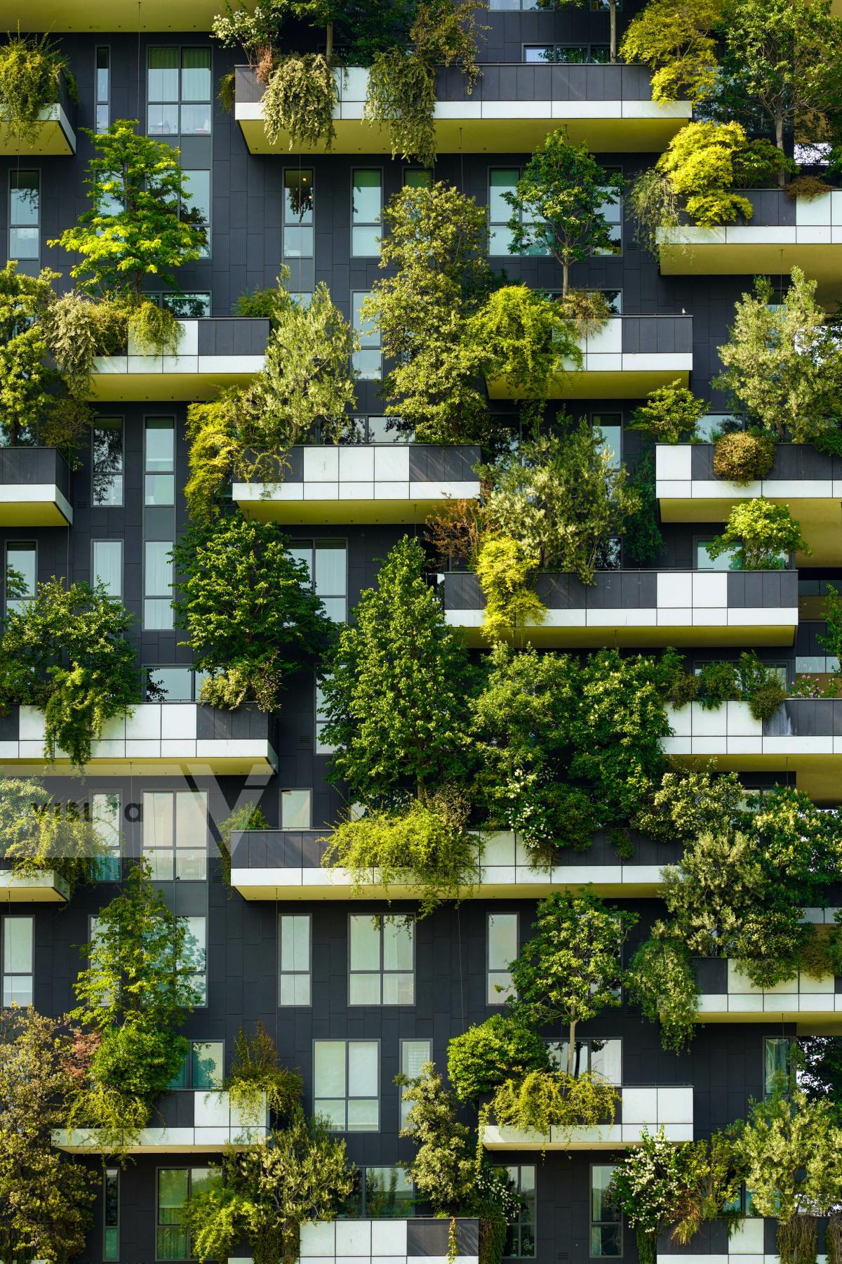 Purchase The Vertical Forest in Milan: Where Architecture Breathes by Michael Nguyen