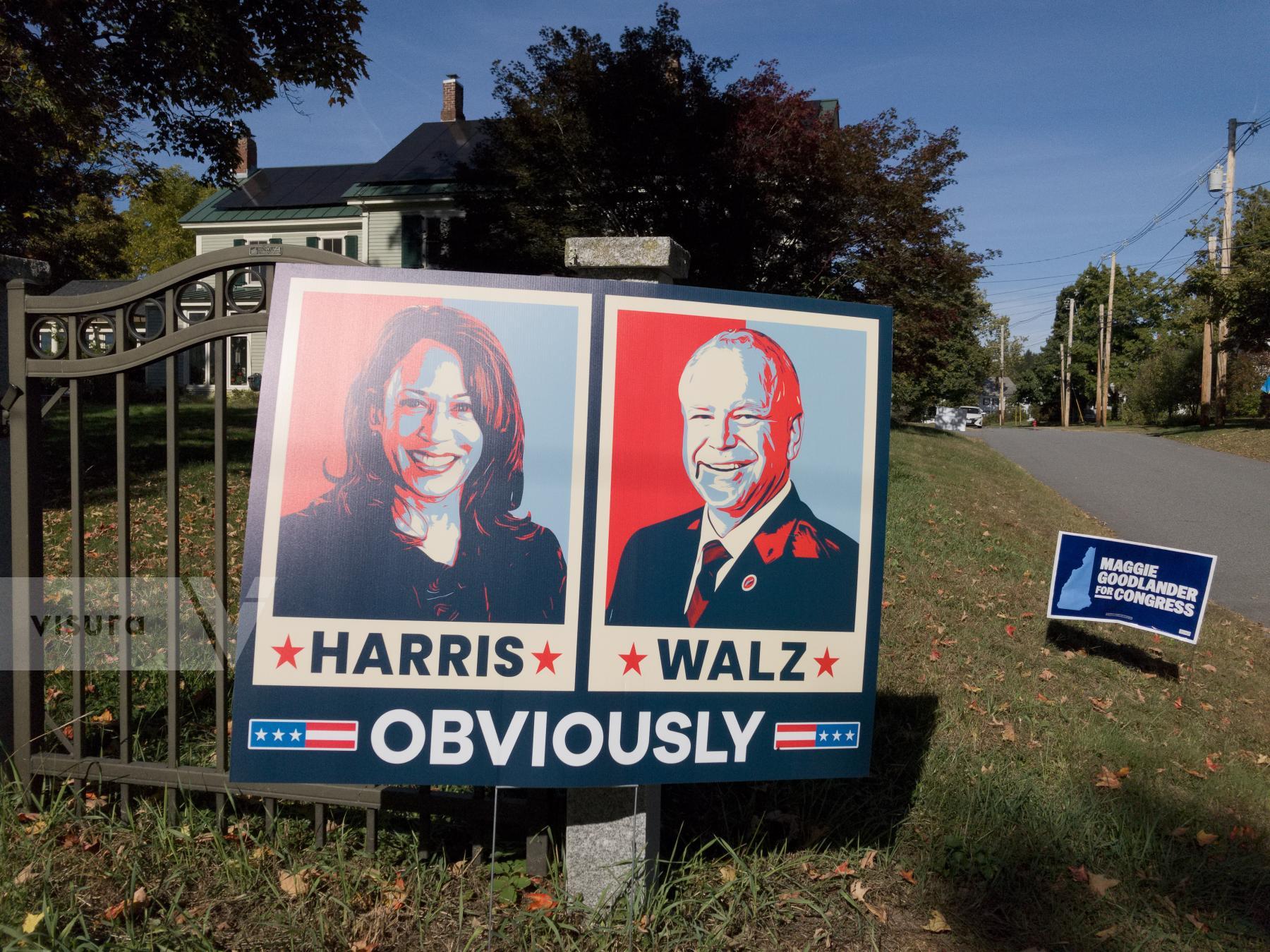 Purchase Presidential Election Campaign 2024 by Ellen Kok
