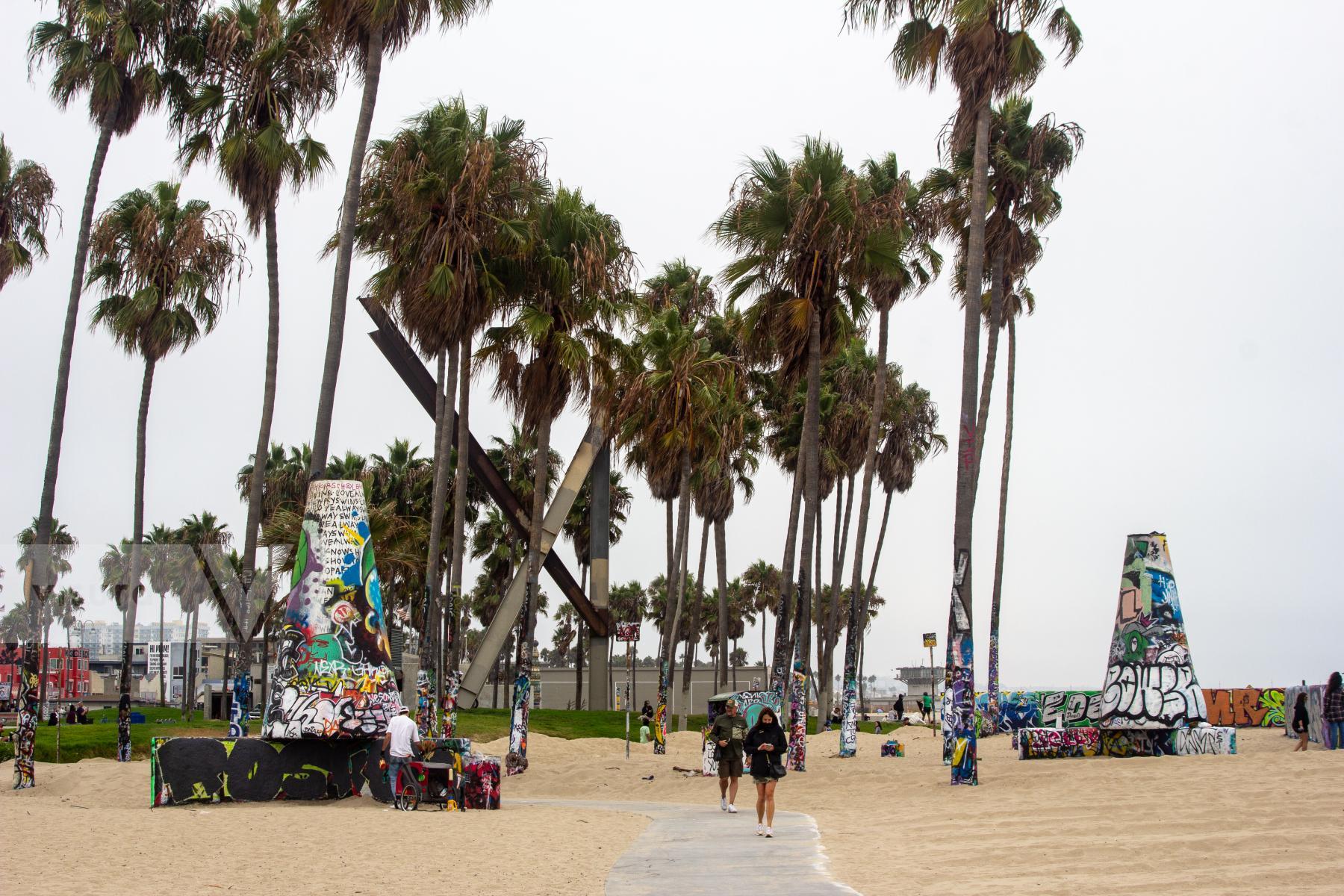 Purchase Venice Beach by James Reade Venable