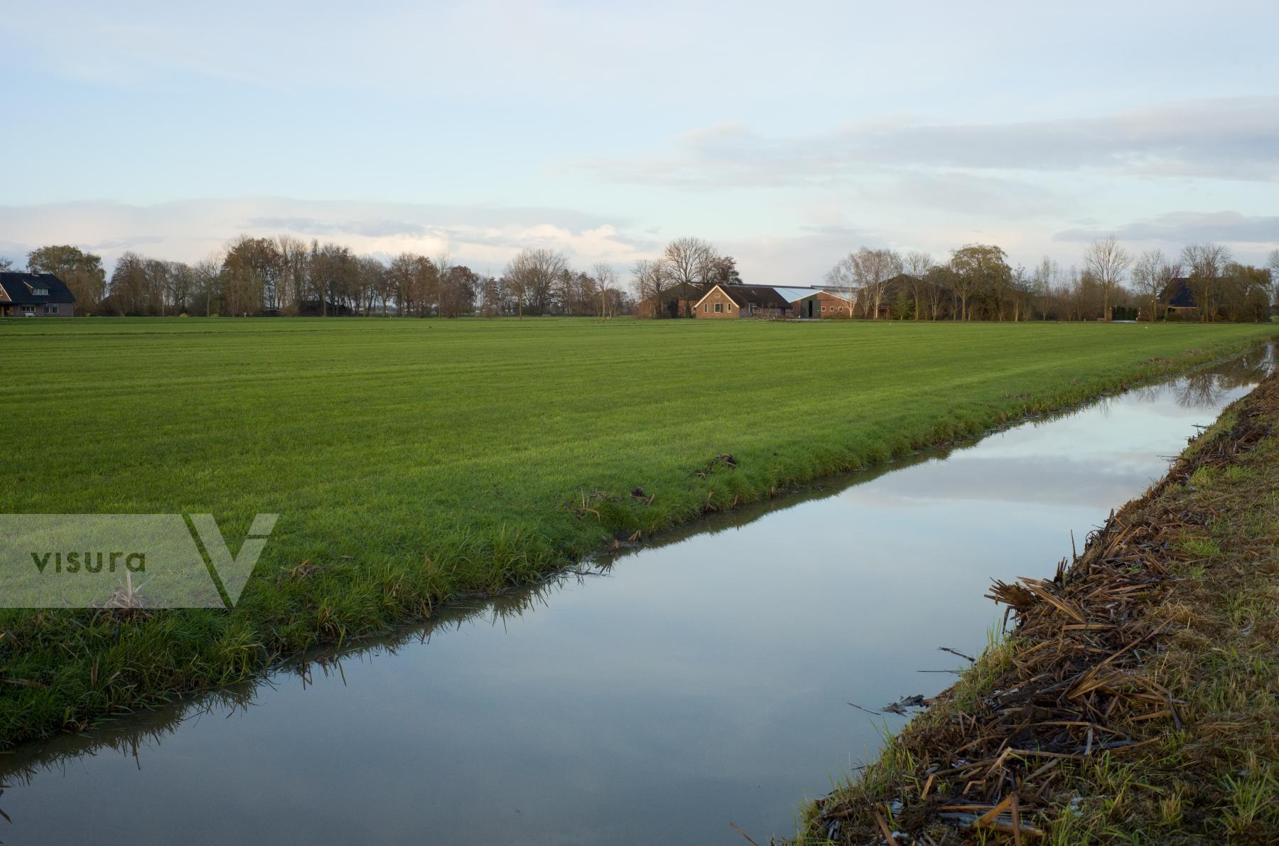 Purchase Polder Landscape by Ellen Kok