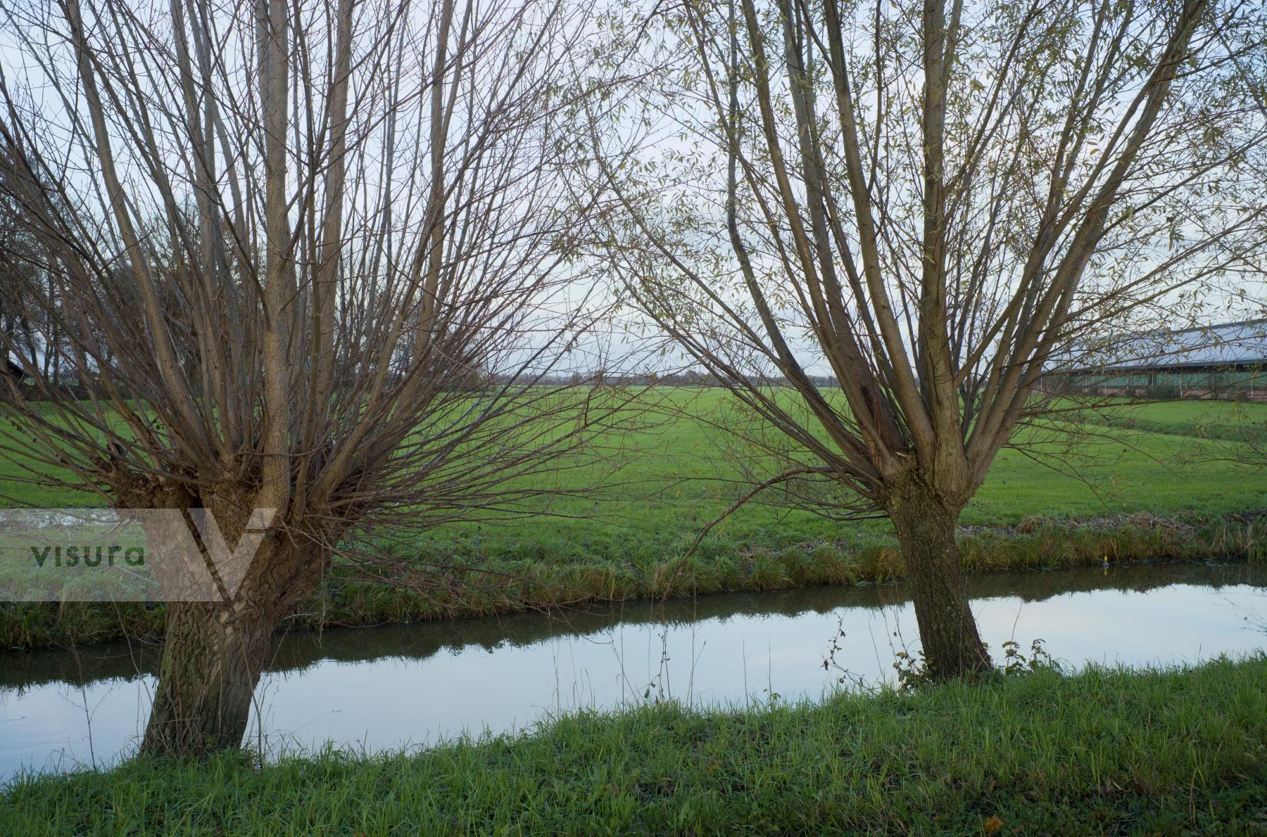 Purchase Polder Landscape by Ellen Kok