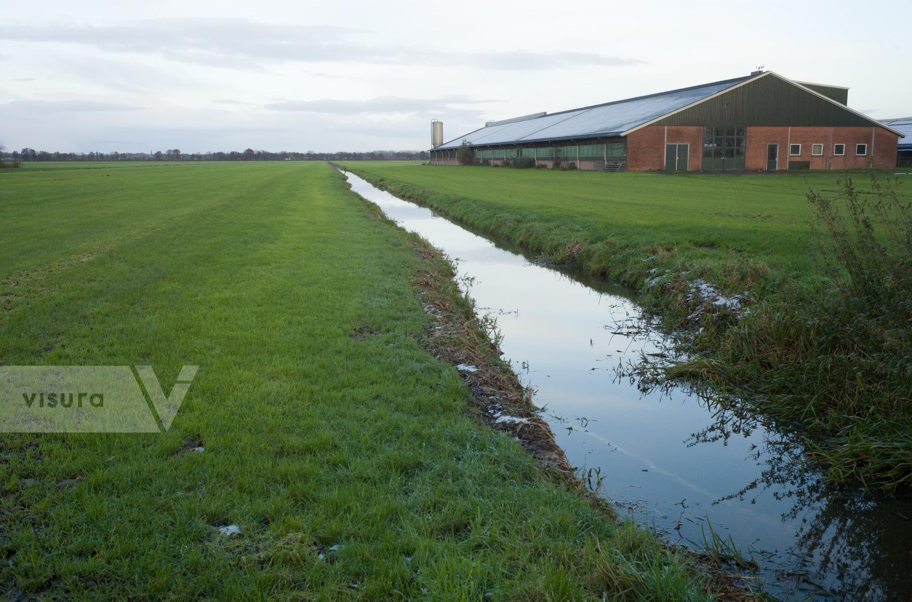 Purchase Polder Landscape by Ellen Kok