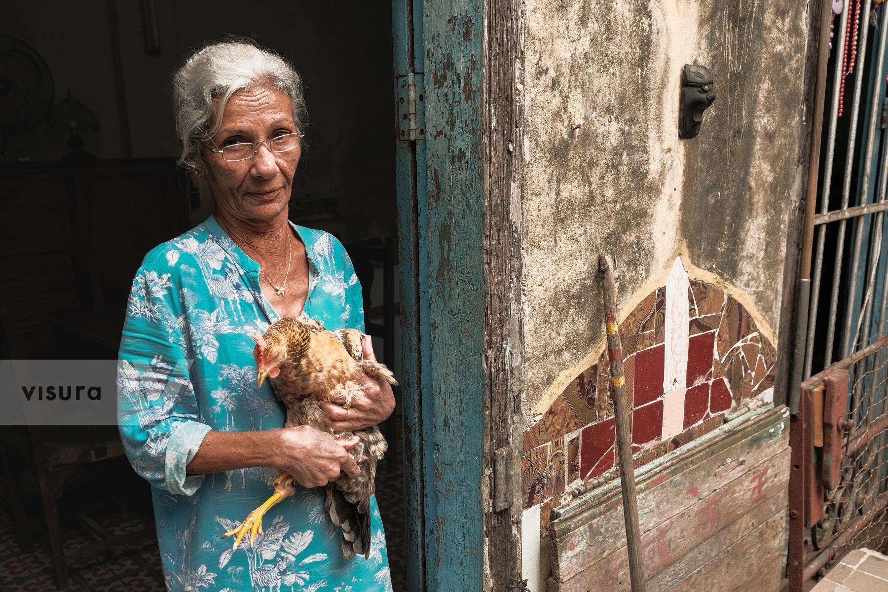 Purchase Portrait of Alfa hugging a chicken by Dany del Pino Rodríguez