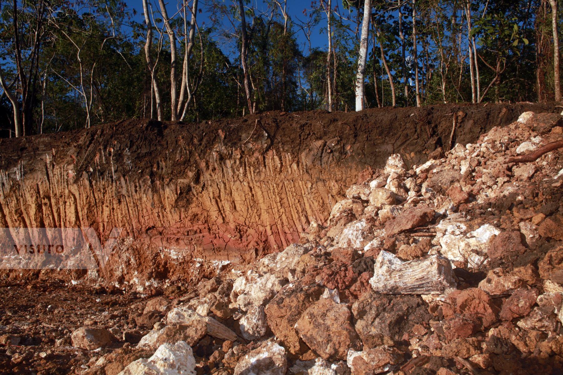 Purchase Puerto RICO MASIVE DEFORESTATION  by mariela alvarez xiloj