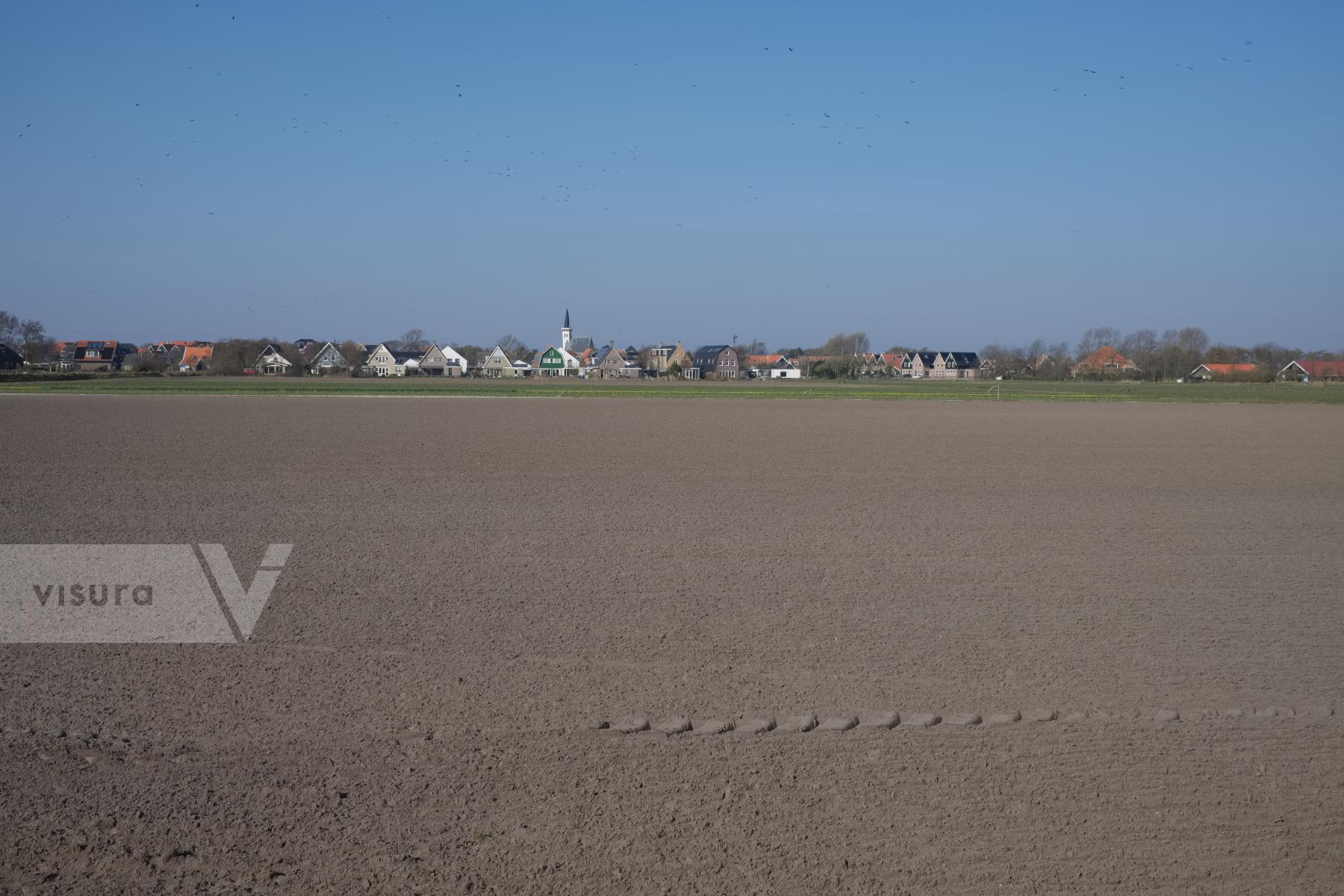 Purchase Farming in the Netherlands by Ellen Kok