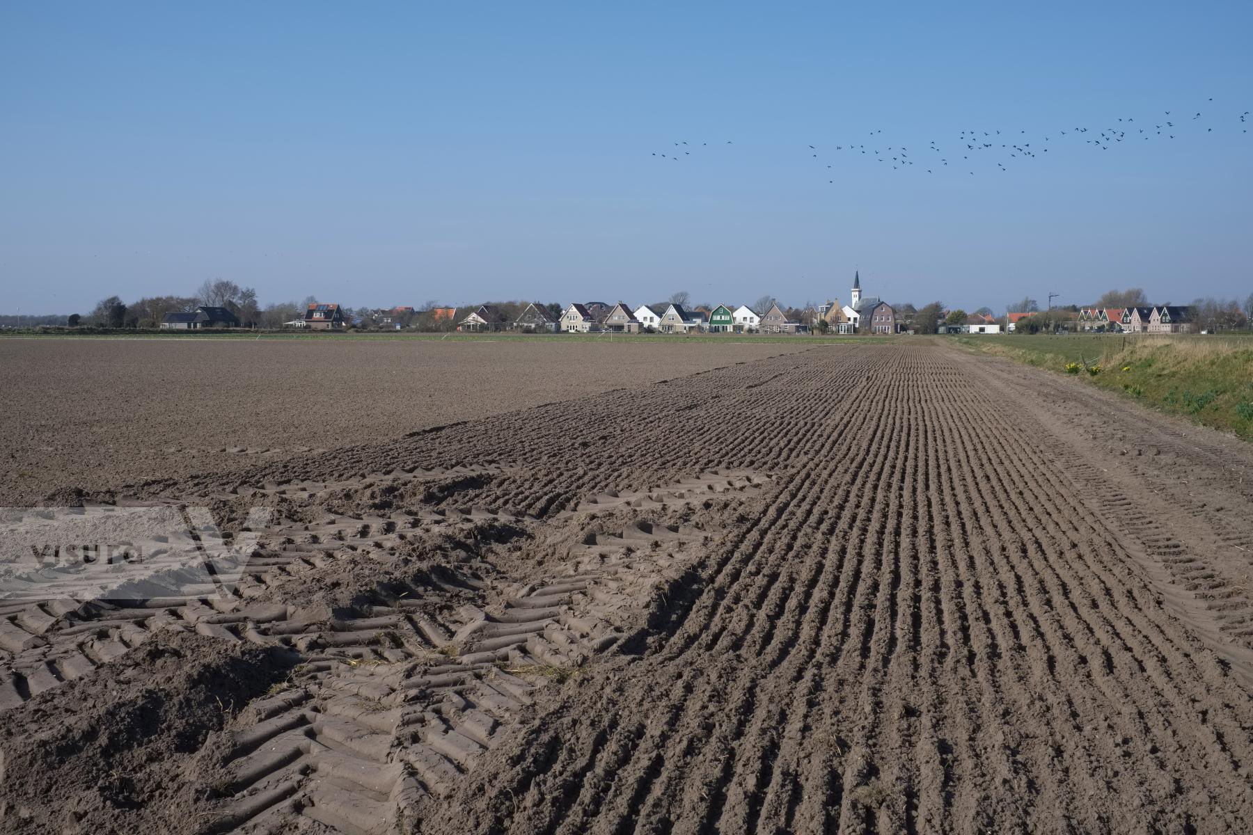 Purchase Farming in the Netherlands by Ellen Kok