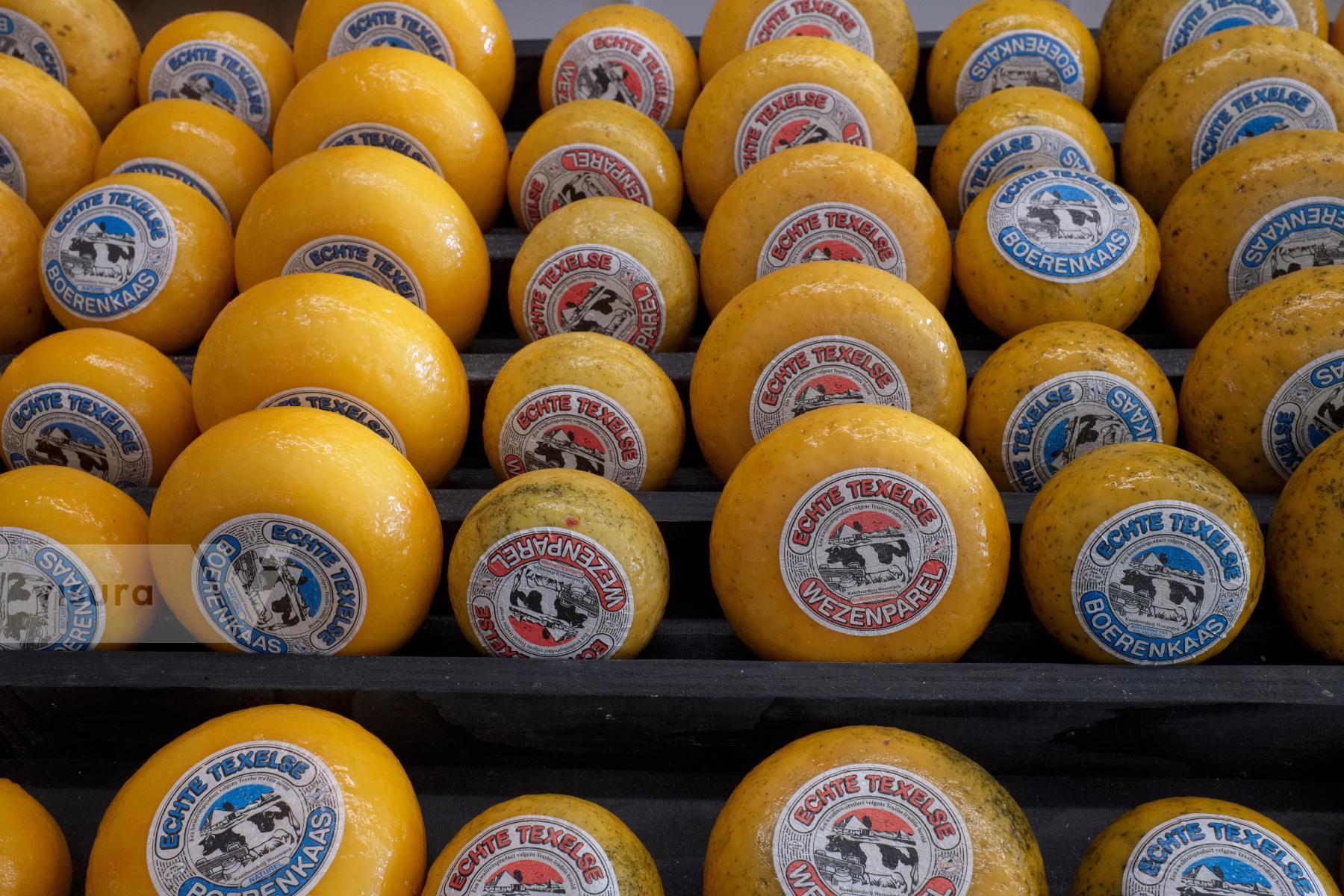 Purchase Dutch Cheese by Ellen Kok