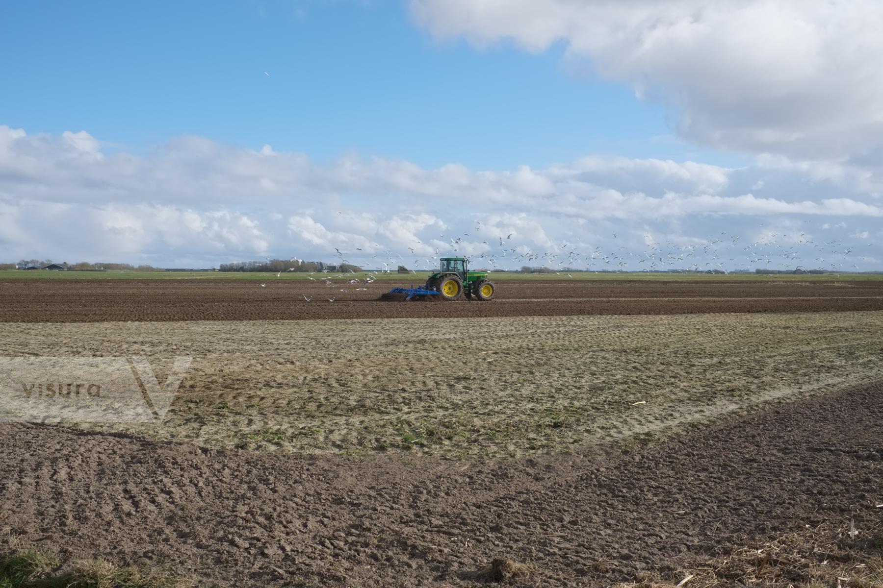 Purchase  Plowing a Field by Ellen Kok