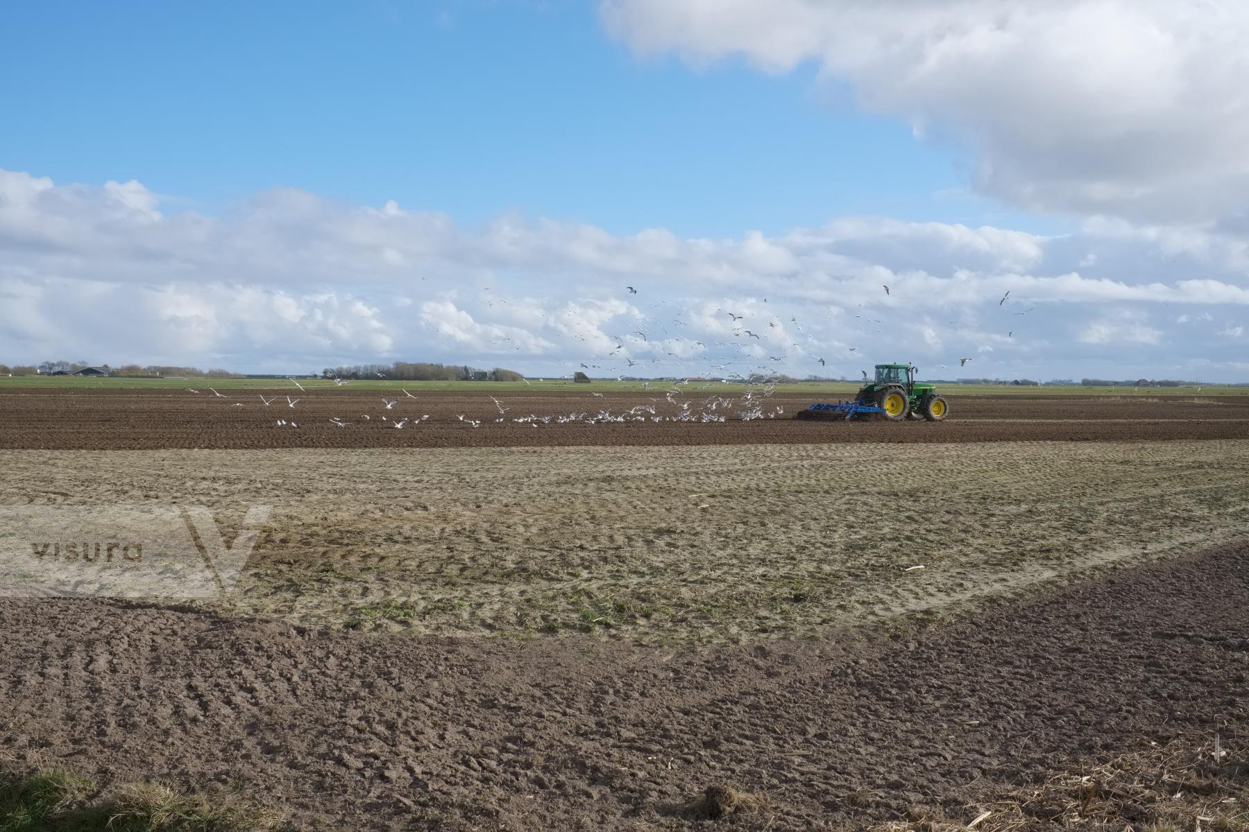 Purchase Plowing a Field by Ellen Kok
