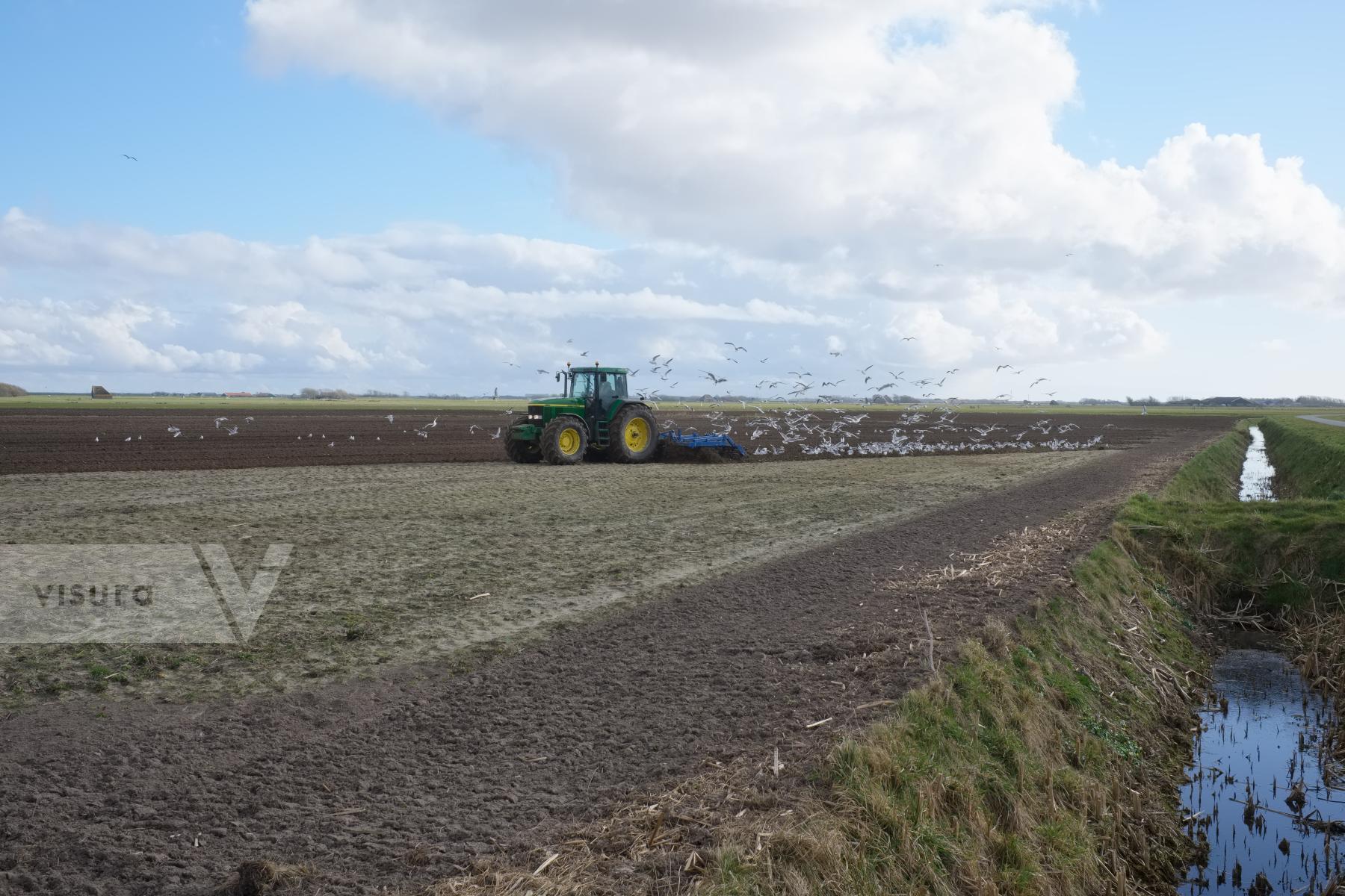 Purchase Plowing a Field by Ellen Kok