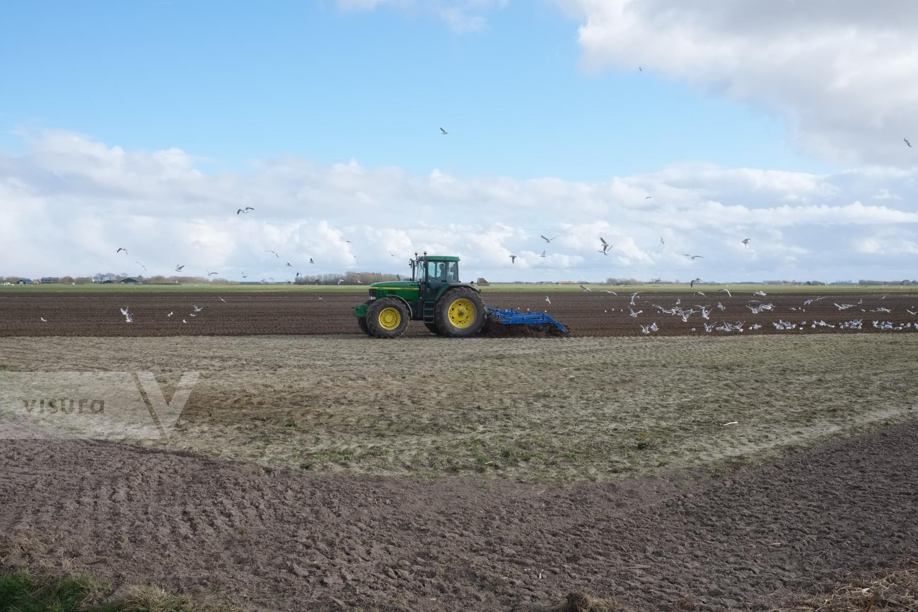 Purchase Plowing a Field by Ellen Kok