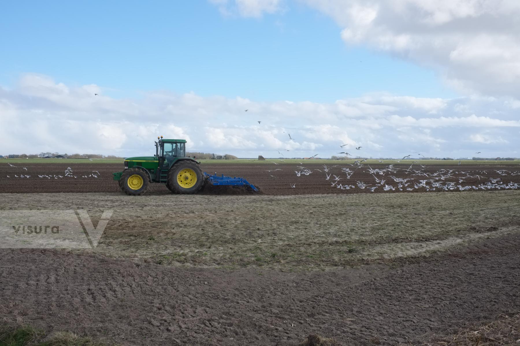 Purchase Plowing a Field by Ellen Kok