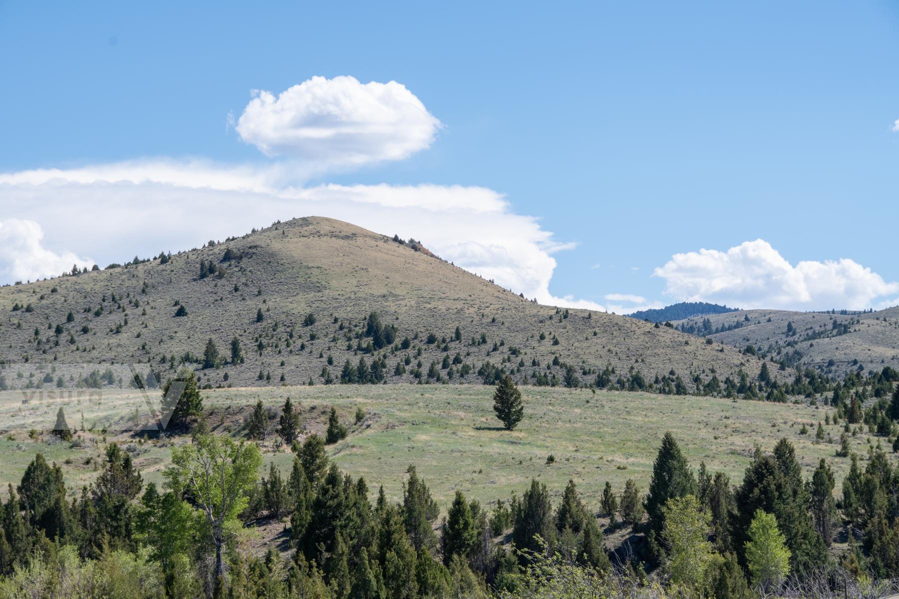 Purchase Landscape of Montana by James Reade Venable