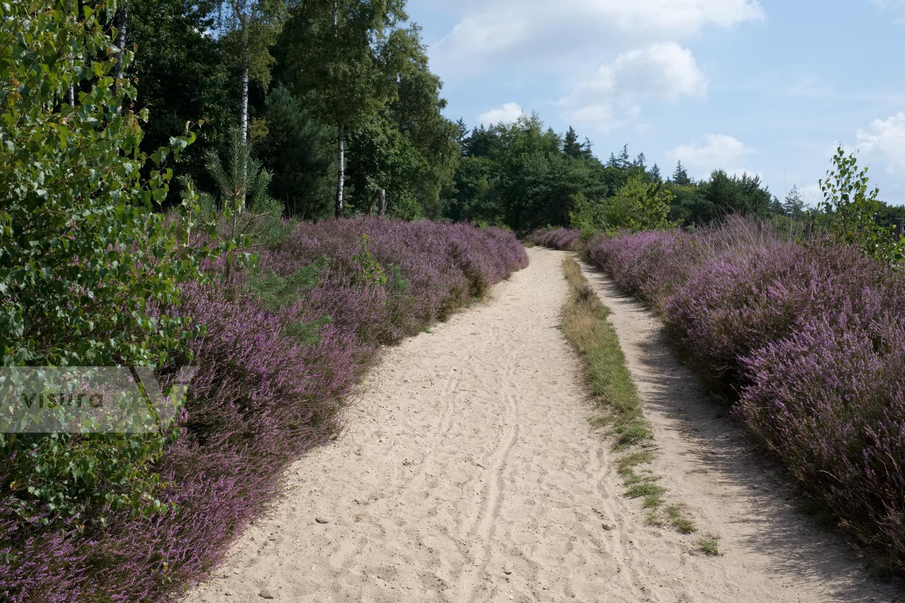 Purchase On the Heath by Ellen Kok