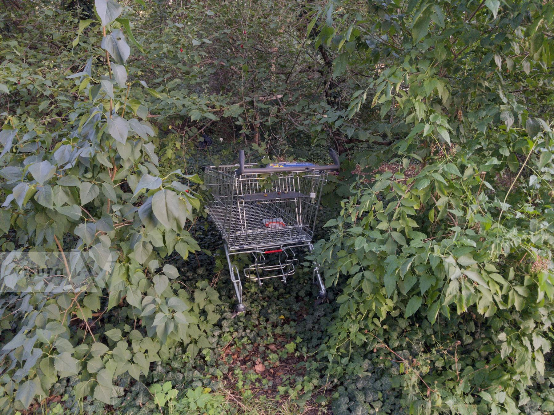 Purchase Shopping Cart by Ellen Kok