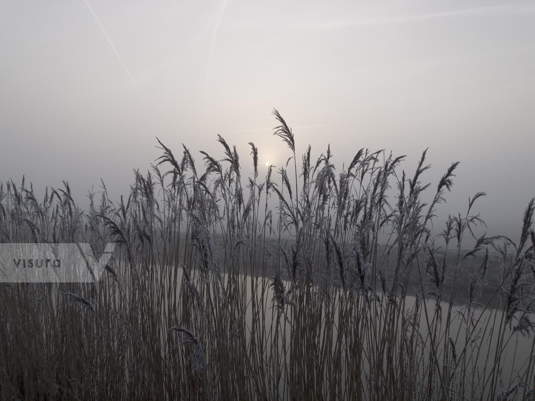 Purchase Sunrise by Ellen Kok